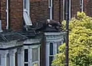 Man jumping from window