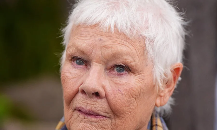 Dame Judi Dench portrait